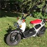 Honda Ruckus For Sale